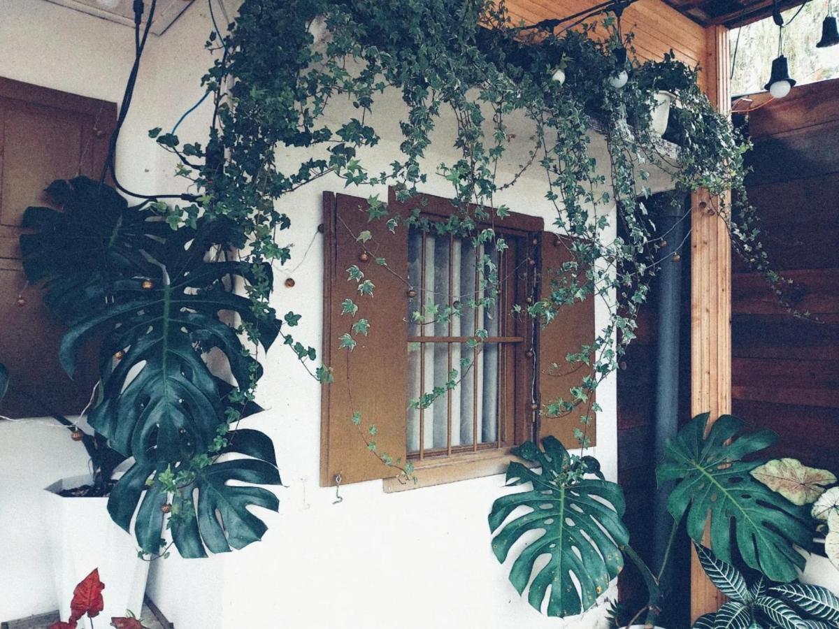 Soul Pnb Homestay 달랏 외부 사진