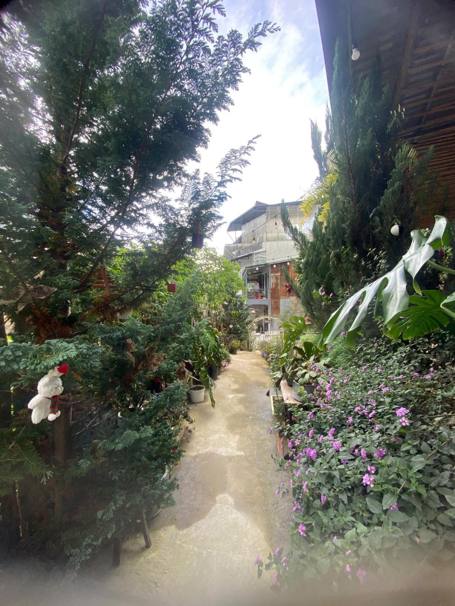 Soul Pnb Homestay 달랏 외부 사진